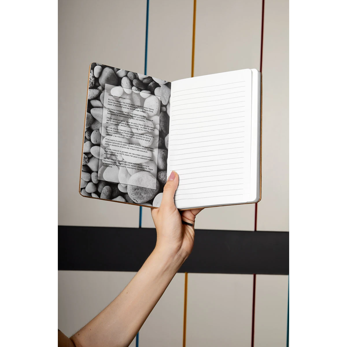 imagen 6