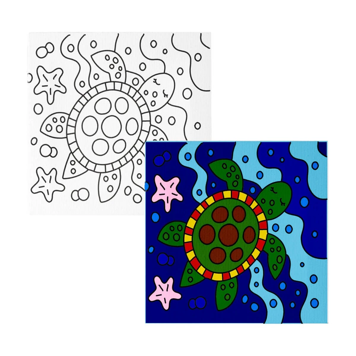 imagen 5