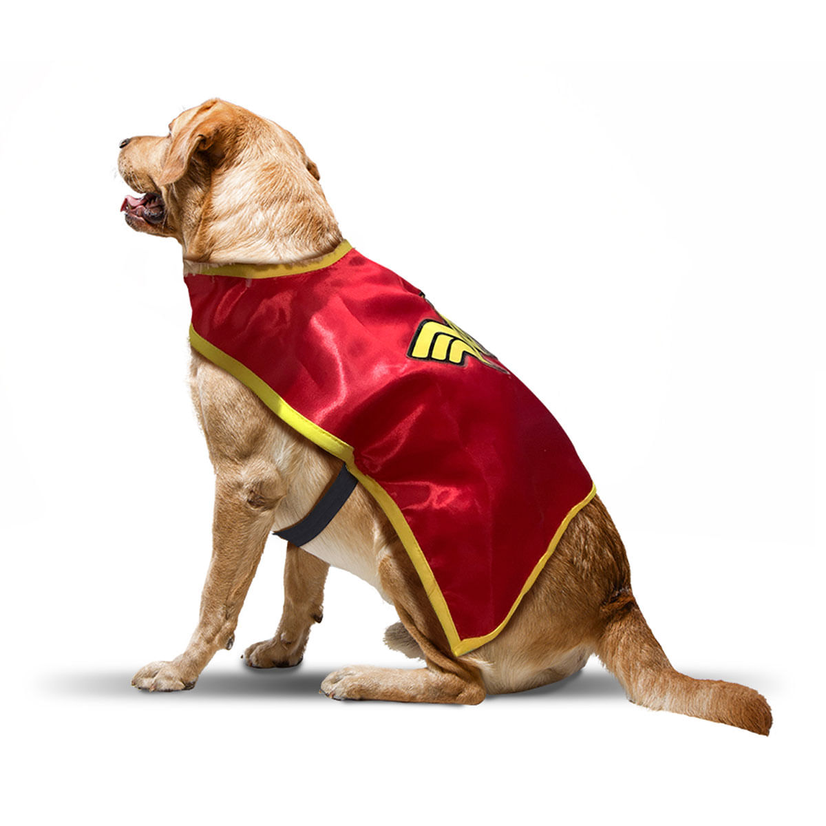 Capa Warner WonderWoman Unitalla F12922