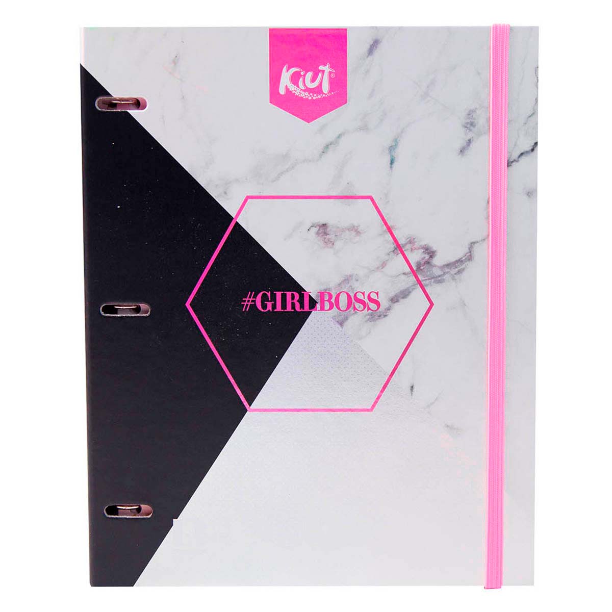 Carpeta Norma Profesional