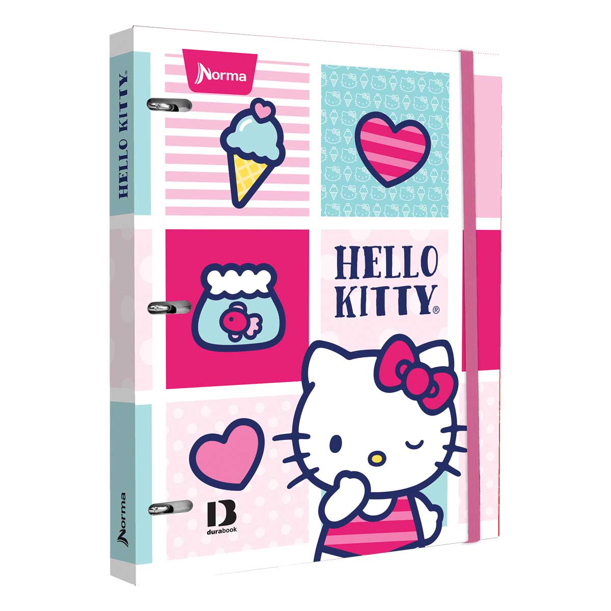 Carpeta  Norma  Profesional